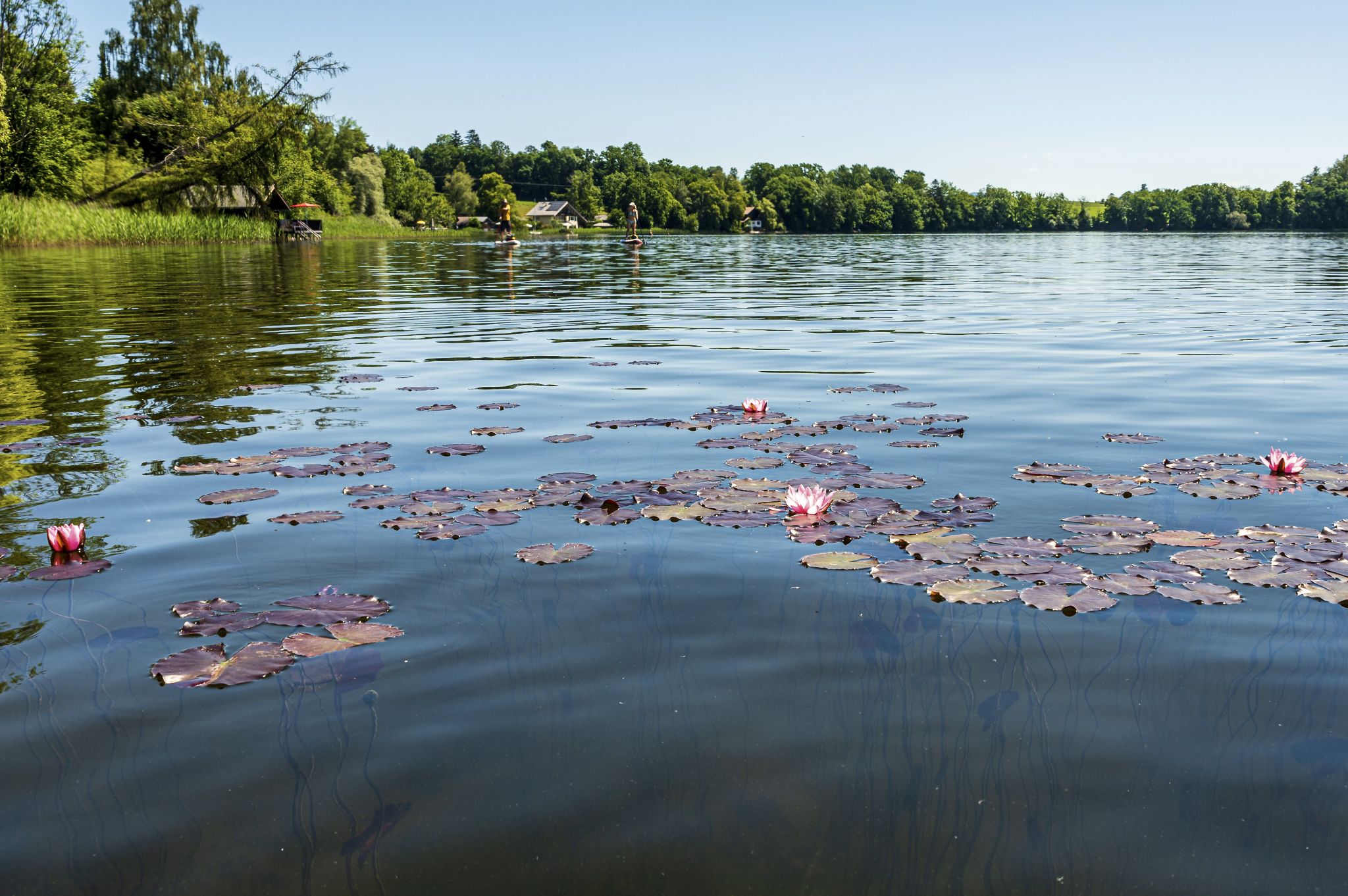 Kajaktour Staffelsee 12.06.22